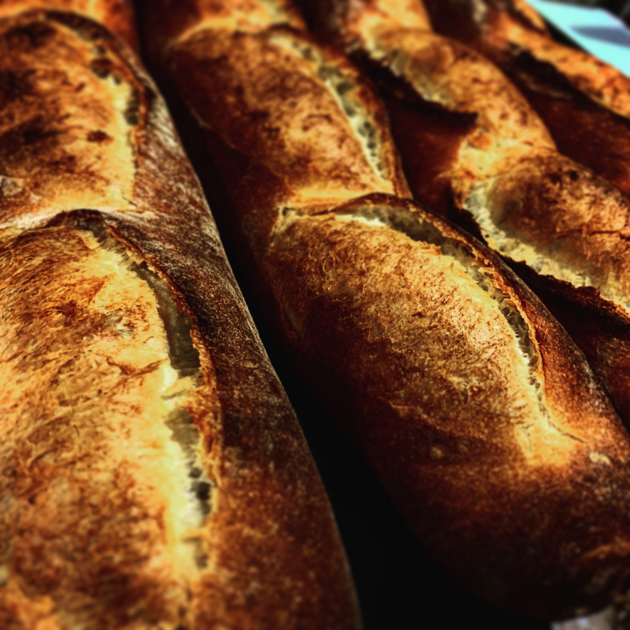 神戸市のおいしいパン屋さん、パンジローのバゲット